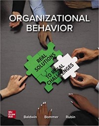 Organizational behavior : real solutions to real challenges