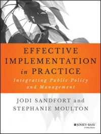 Effective Implementation in Practice : Integrating Public Policy and Management