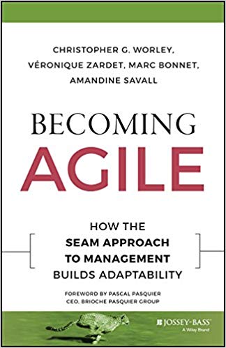 Becoming Agile: How To SEAM Approach To Management Builds Adaptability