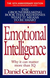 Emotional Intelligence why it can matter more than IQ