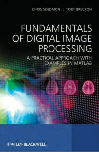 (E-BOOK - SISTEM INFORMASI - TEKNIK INFORMATIKA) Fundamentals of Digital Image Processing A Practical Approach with Examples in Matlab