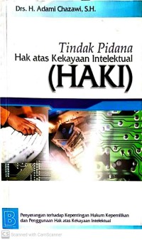 Tindak Pidana Hak Atas Kekayaan Intelektual (HAKI)