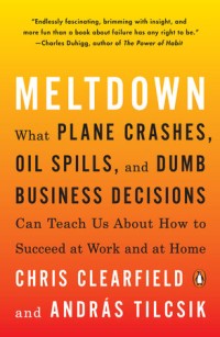 Melt Down : What Plane Crashes, Oil Spills, and Dumb Business Decisions Can Teach Us About How to Succeed at Work and at Home