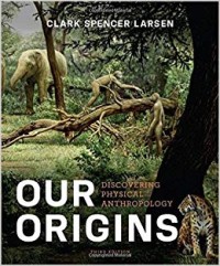 Our Origins : Discovering Physical Anthropology (Third Edition)